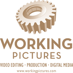 Working Pictures 300